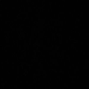 Meet your Posher, Carolina